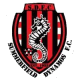 Summerfield Dynamos logo