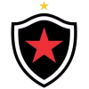Botafogo PB W logo