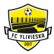 Ylivieska logo