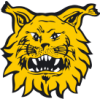 Ilves-2 W logo