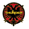 Dandenong Thunder U-21 logo