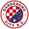 Dandenong City U-21 logo