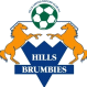 Hills Brumbies logo