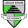 Cedar logo