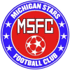 Michigan Stars logo