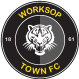 Worksop Town logo