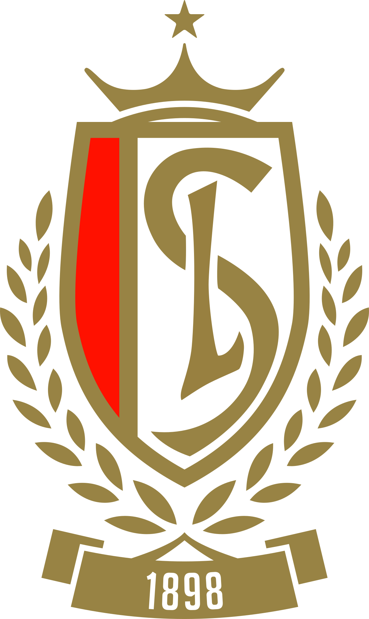 Standard-2 logo