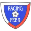 Peer logo