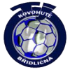 Bridlicna logo
