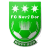 Novy Bor logo