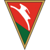 Lublinianka logo