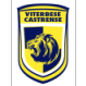 Viterbese U-19 logo