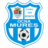 Ocna Mures logo