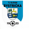 Bystricka logo