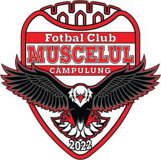 Muscelul Campulung logo