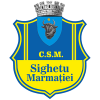 Sighetu Marmatiei logo