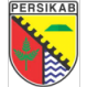 Persikab logo