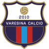 Varesina logo