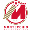 Montecchio Maggiore logo