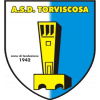 Torviscosa logo