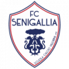 Vigor Senigallia logo