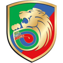 Miedz Legnica logo