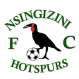 Nsingizini Hotspurs logo