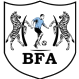 Botswana U-20 logo