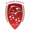 Polskava logo