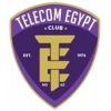 Telecom Egypt logo