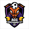 Amnat Charoen City logo