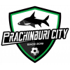 Prachinburi City logo