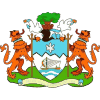 Freetown City logo