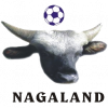 Nagaland logo