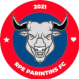 Parintins logo