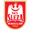 Sleza W logo