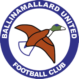Ballinamallard United W logo