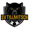 Tillmitsch logo