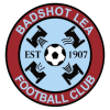 Badshot logo