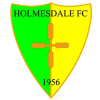 Holmesdale logo