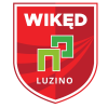 Luzino logo