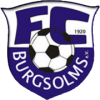 Burgsolms logo