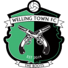 Welling Town logo