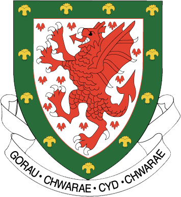 Wales U-21 logo