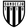 Sandecja Nowy Sacz U-19 logo
