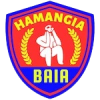 Hamangia Baia logo