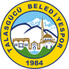 Talasgucu logo