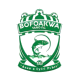 Bofoakwe Tano logo