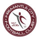 Fremantle City logo