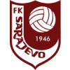 Sarajevo U-19 logo